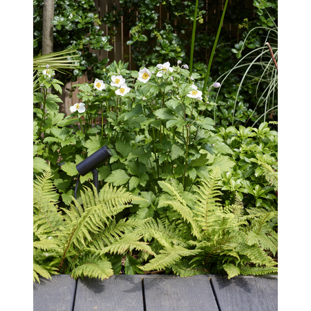 Spot zewnętrzny Astro Myos 1426002 Czarny z Teksturą