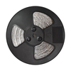 Eko-Light Taśma Led 60/m IP20 6500K (50m) EKPL627