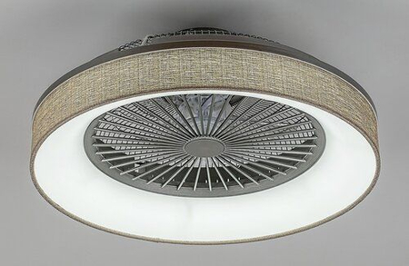 Lampa sufitowa Rabalux Benicio 5420 popielaty