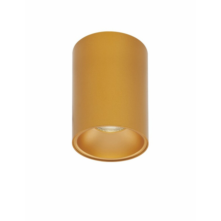 Spot Luces Exclusivas CASENDA LE65138 złoty i odcienie złota