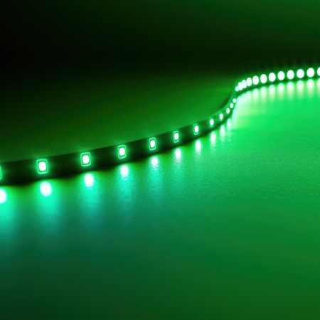 Eko-Light TAŚMA 2,5m 60LED. 12W. Barwa: Zielony. IP20 EKPL711