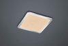Lampa sufitowa Trio 686512406 srebrny