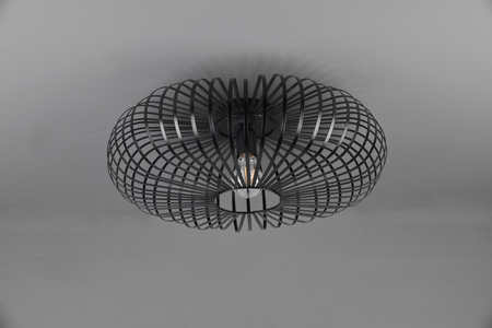 Lampa sufitowa Trio 606905032 czarny