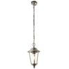 Endon Lighting Lampa zewnętrzna wisząca YG-865-SS stalowy