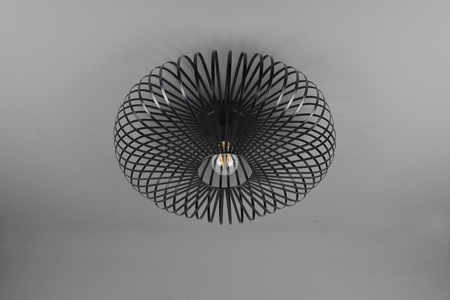 Lampa sufitowa Trio 606905032 czarny