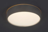 Lampa sufitowa Rabalux Larcia 75010 srebrny