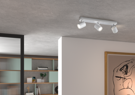 Lampa sufitowa/ścienna GOT R3 czarny 3xGU10