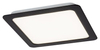 Lampa sufitowa Rabalux Shaun 2685 czarny